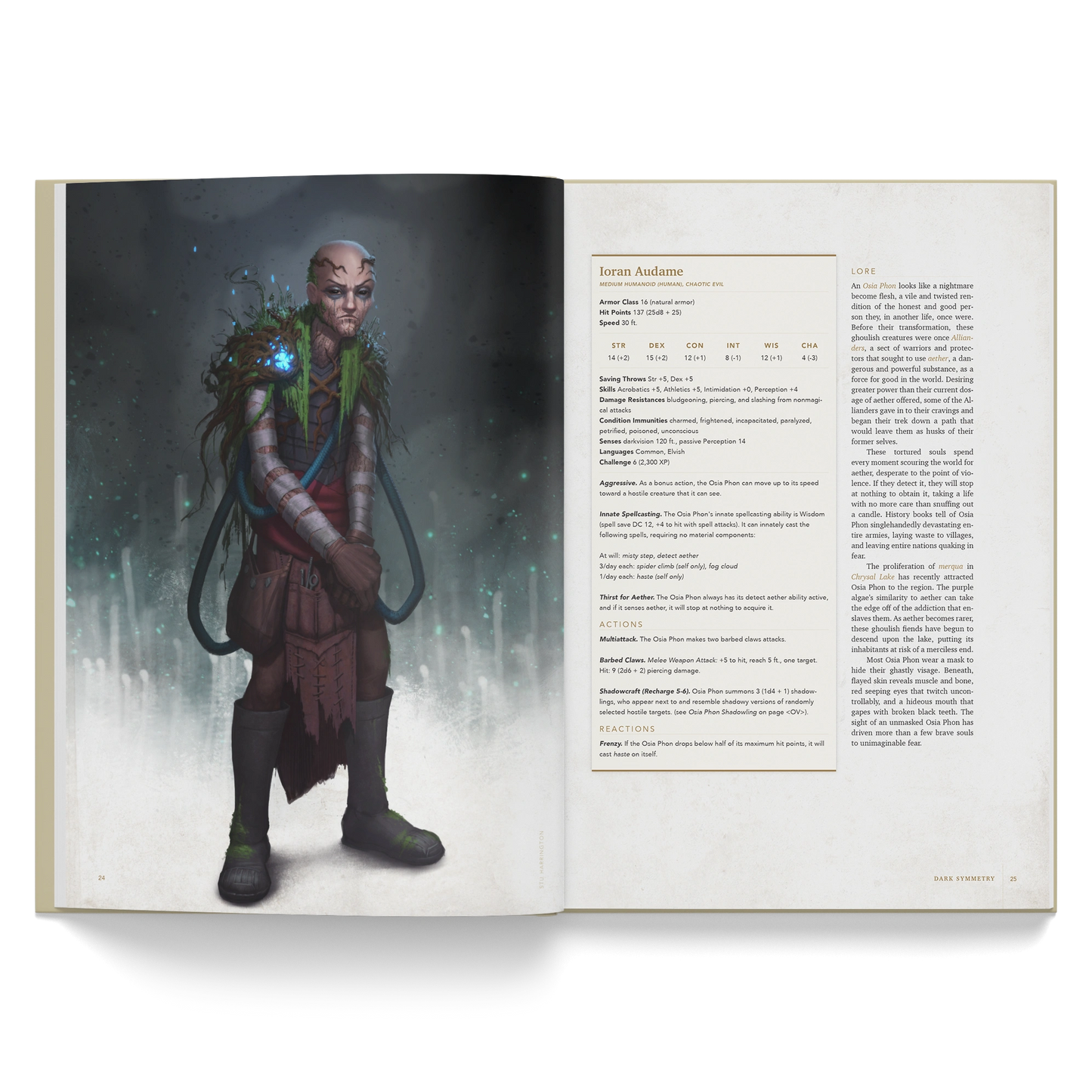 Lore of Aetherra: Dark Symmetry Limited Edition Hardcover